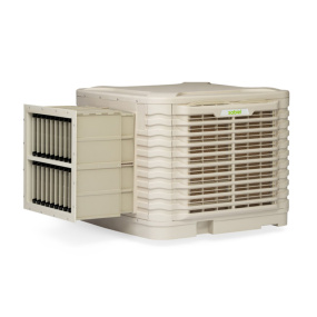 00-00098931_1 00-00098931_1