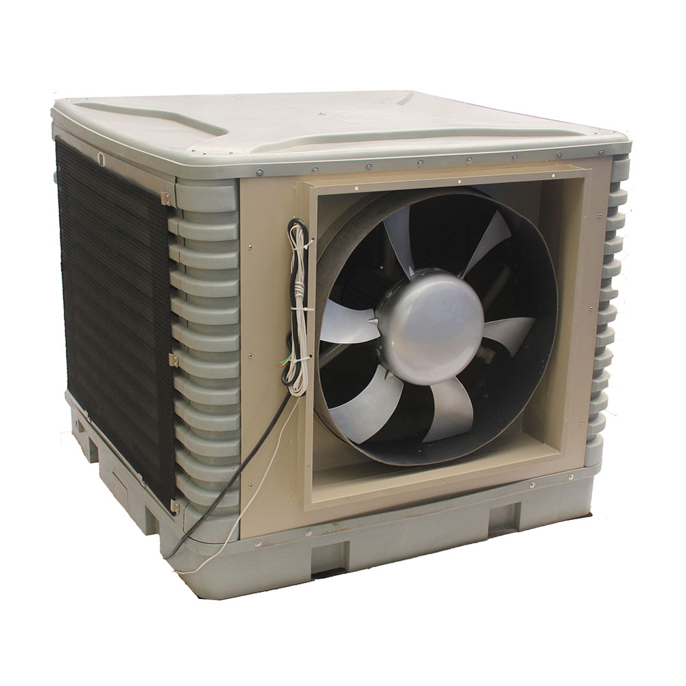 00-00098938_3 00-00098938_3